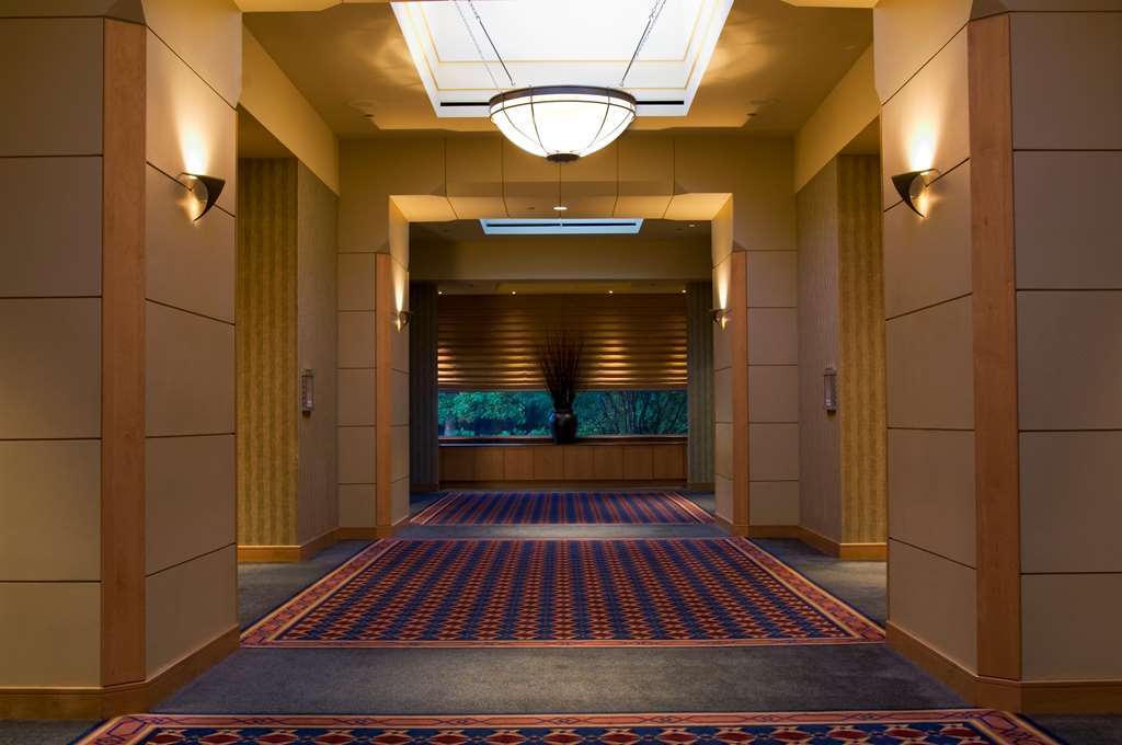 Hyatt Centric Chicago Ohare Hotel